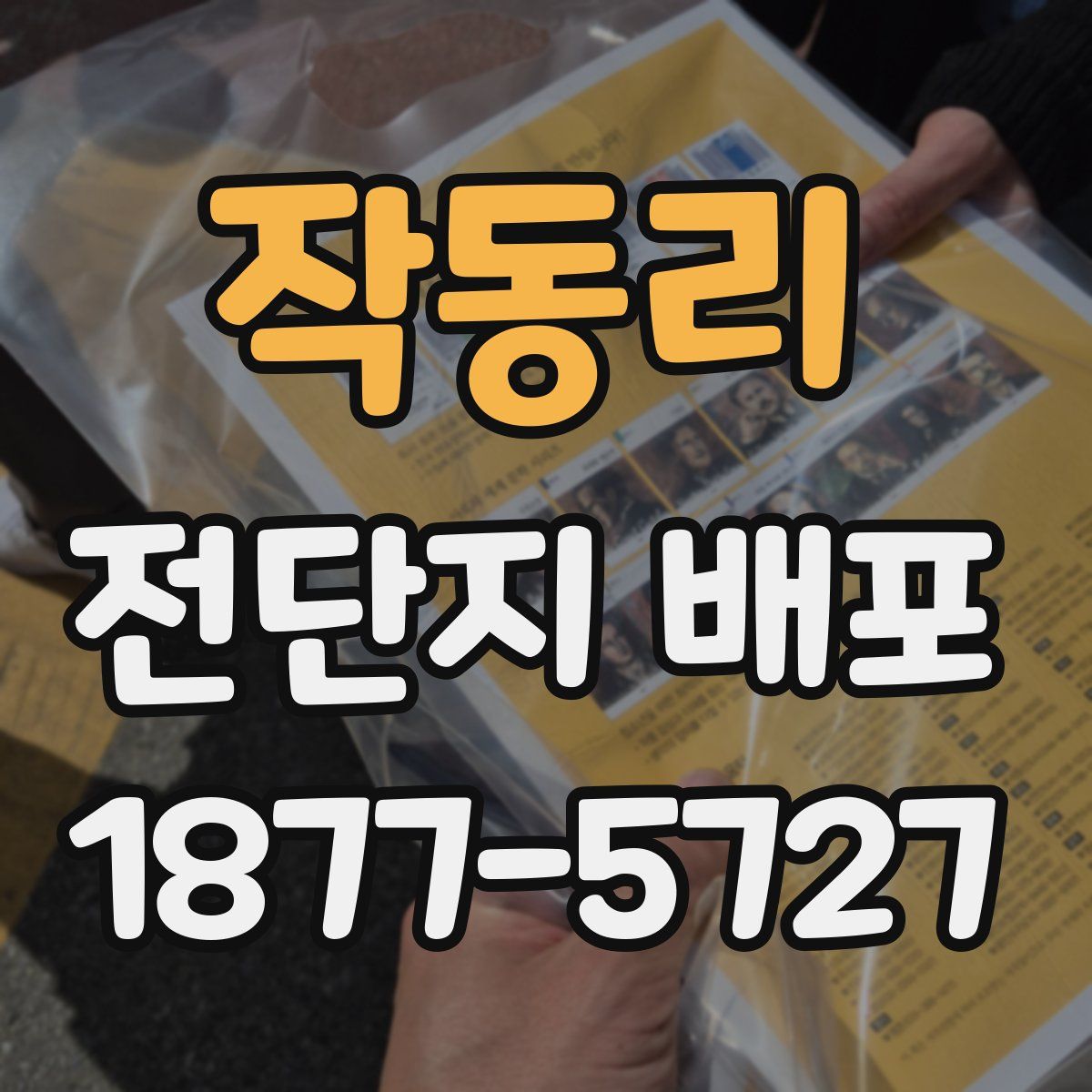 작동리 전단지 배포