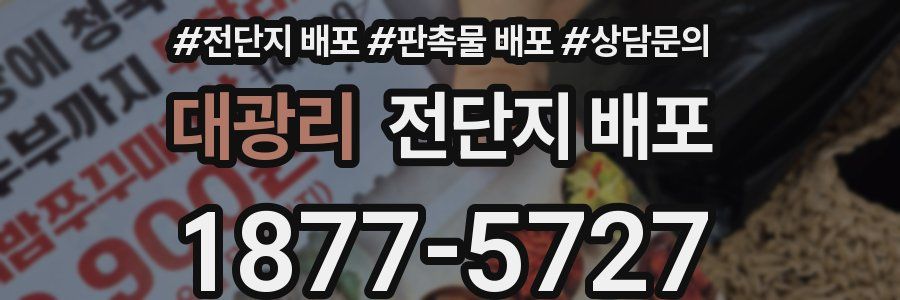 대광리 전단지 배포