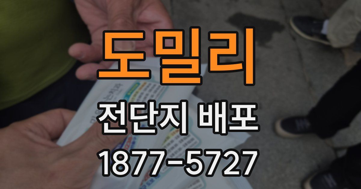 도밀리 전단지 배포