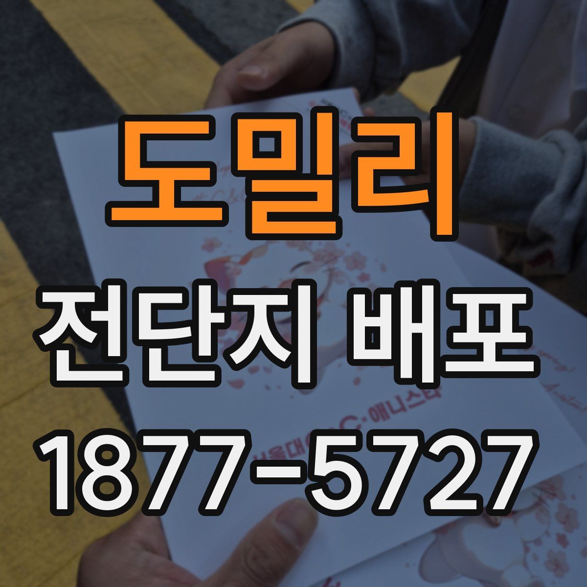 도밀리 전단지 배포