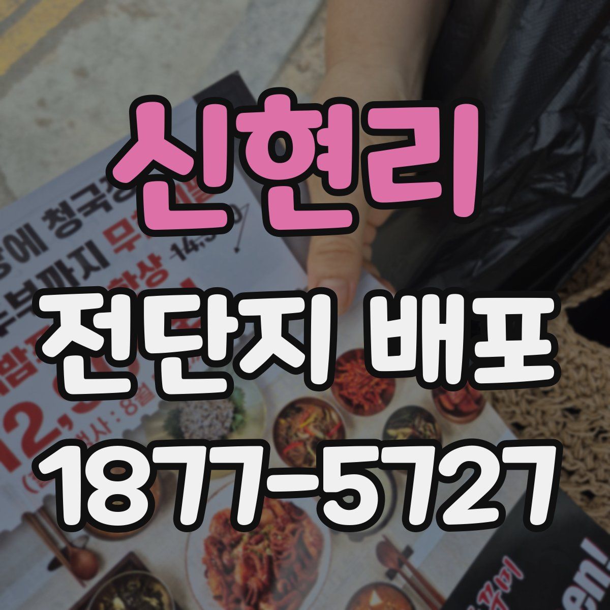 신현리 전단지 배포