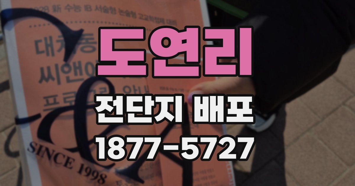 도연리 전단지 배포