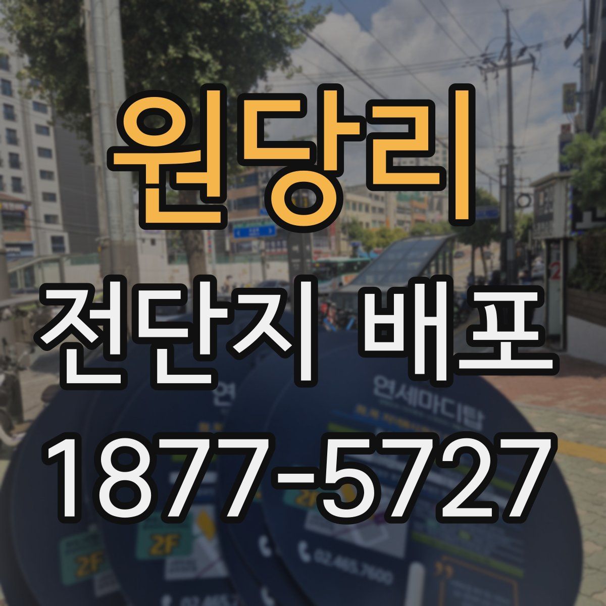 원당리 전단지 배포