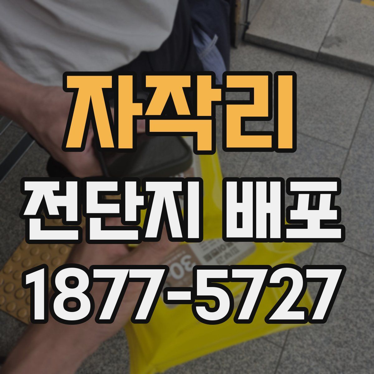 자작리 전단지 배포