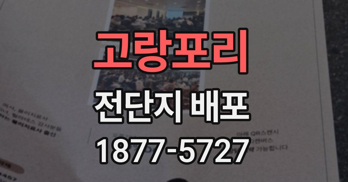 고랑포리 전단지 배포