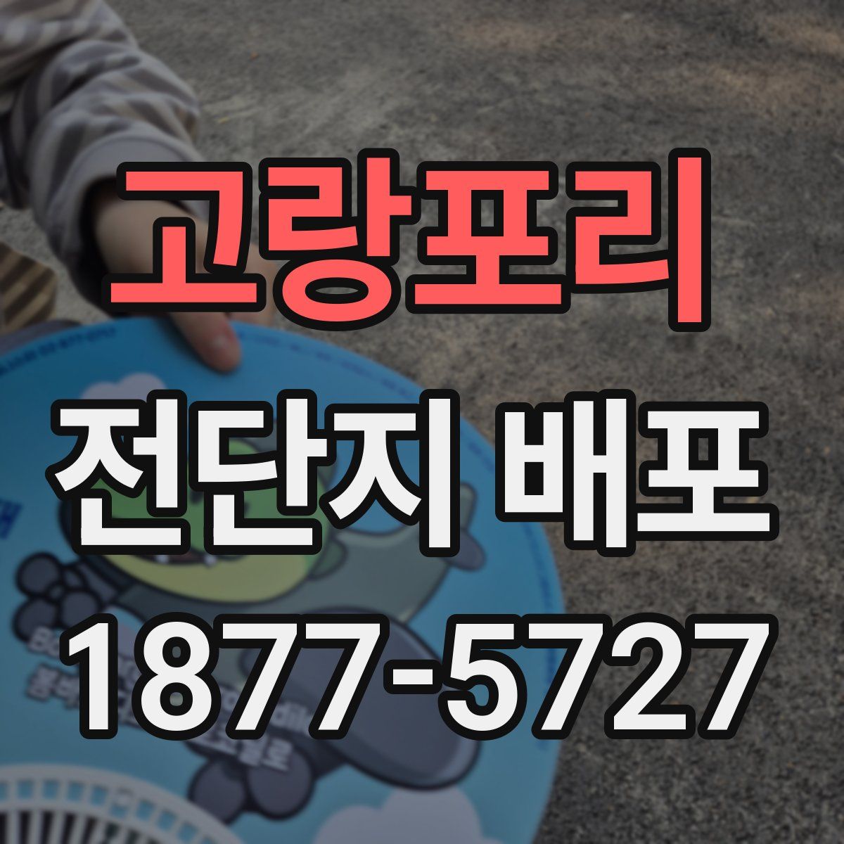 고랑포리 전단지 배포