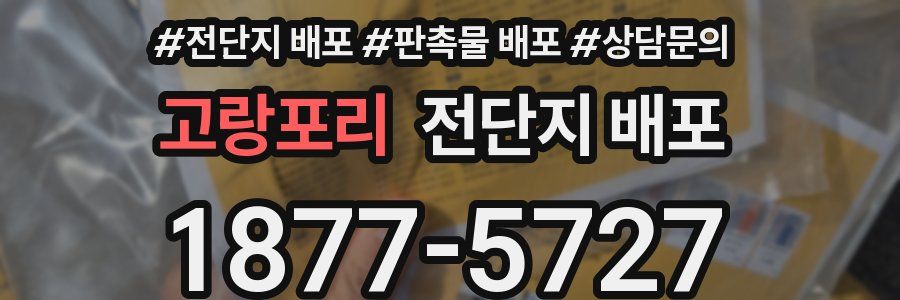 고랑포리 전단지 배포