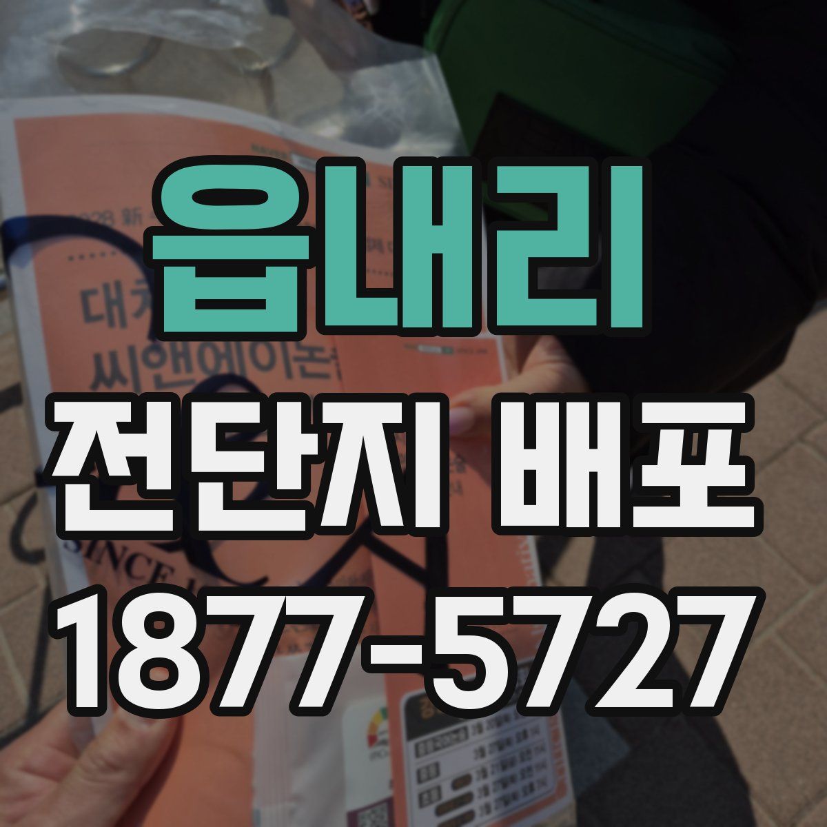 읍내리 전단지 배포