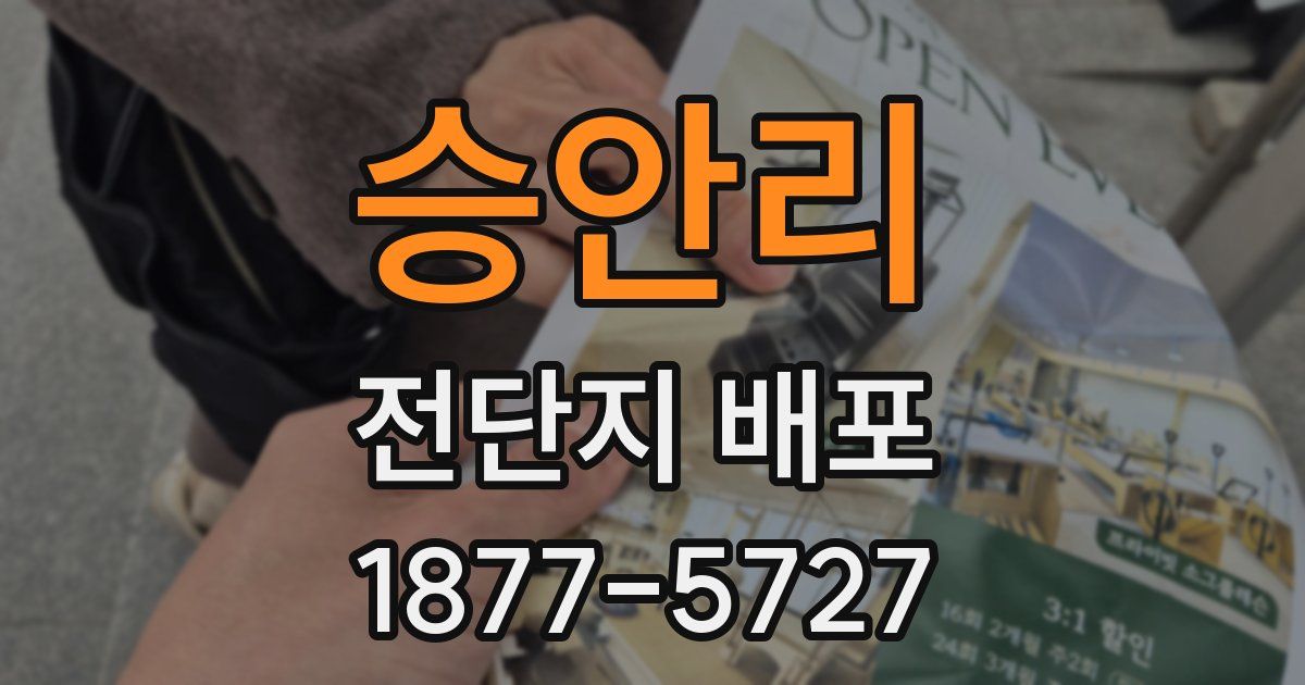 승안리 전단지 배포