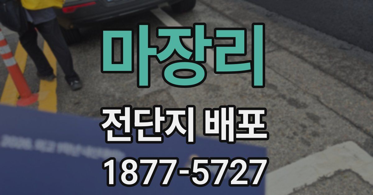 마장리 전단지 배포