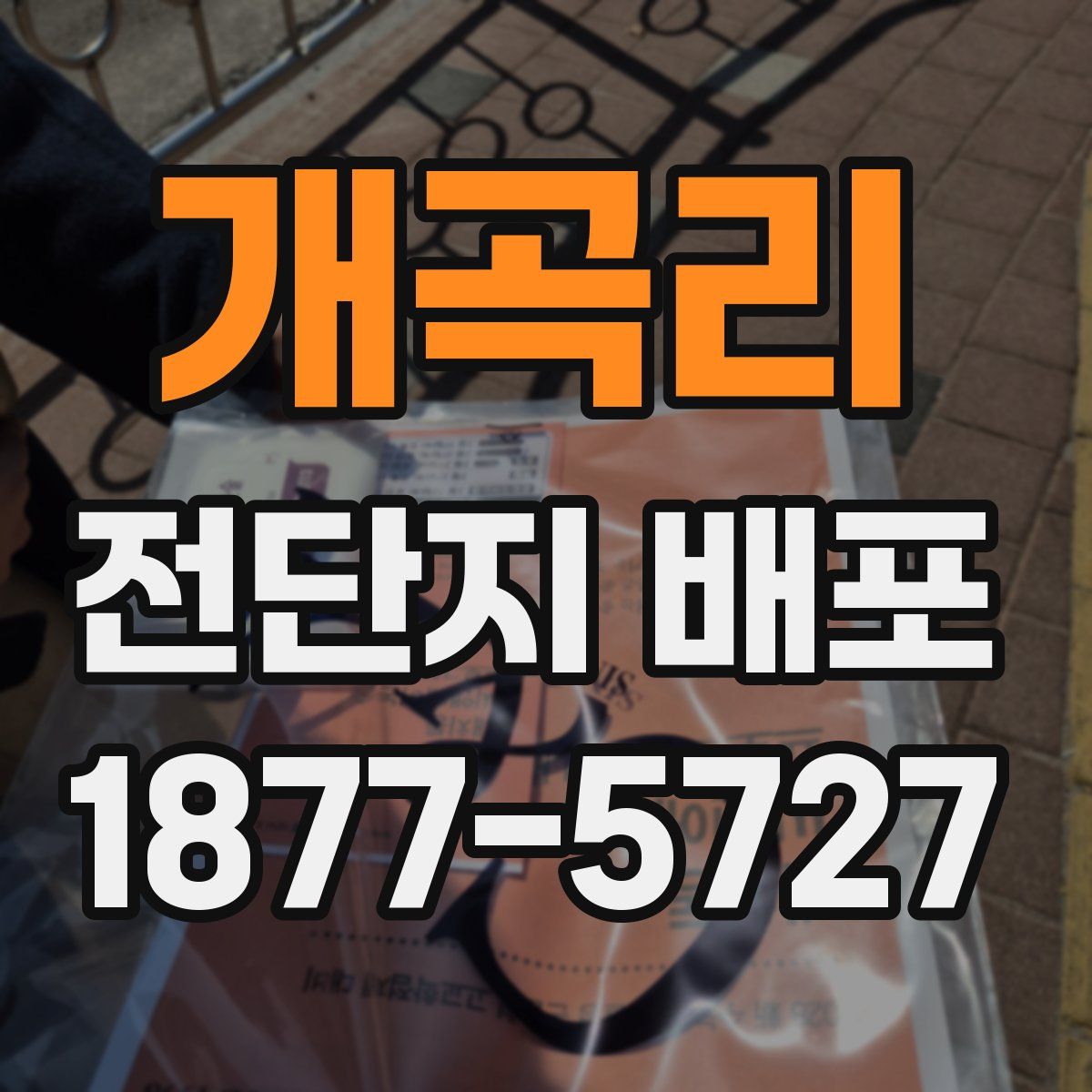 개곡리 전단지 배포