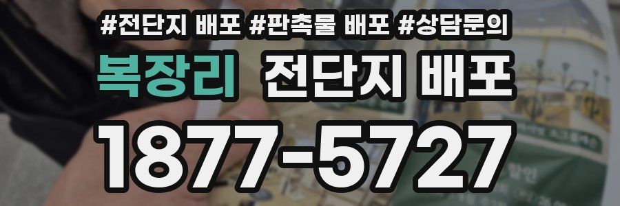 복장리 전단지 배포