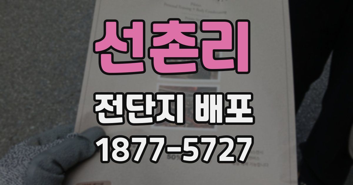 선촌리 전단지 배포