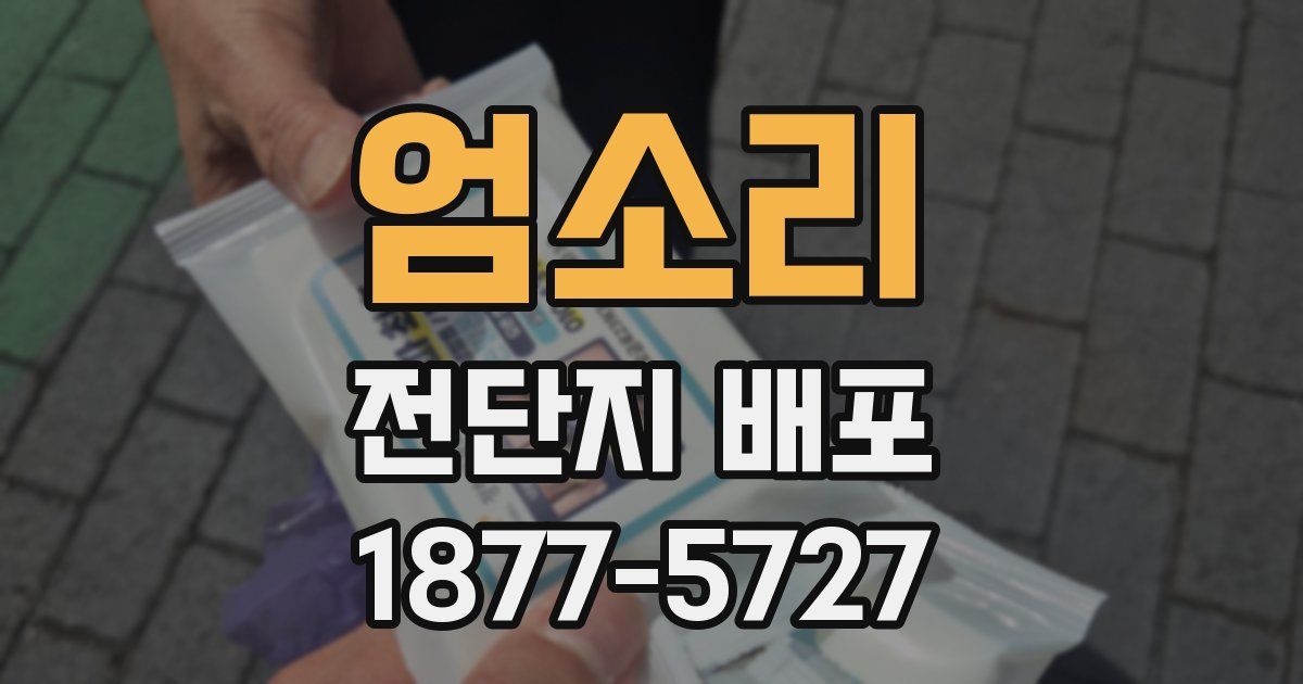 엄소리 전단지 배포
