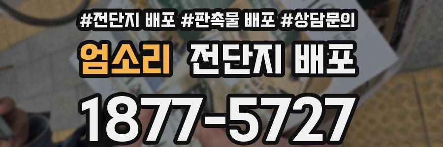 엄소리 전단지 배포