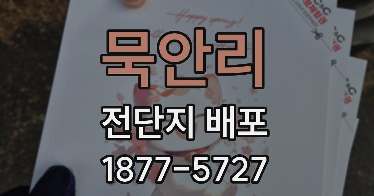 묵안리 전단지 배포