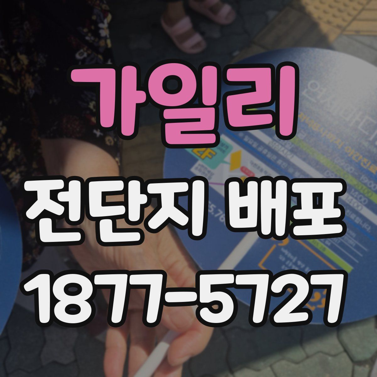 가일리 전단지 배포