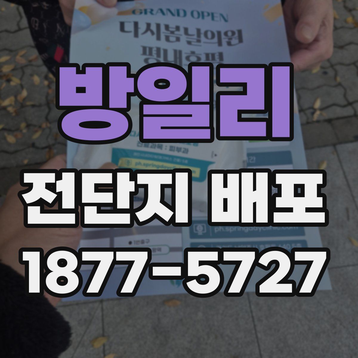 방일리 전단지 배포