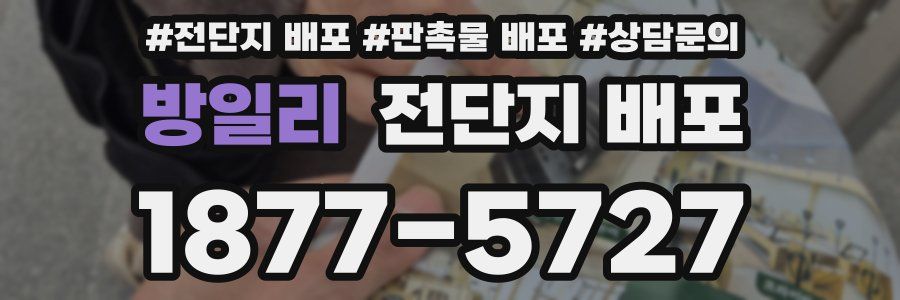 방일리 전단지 배포