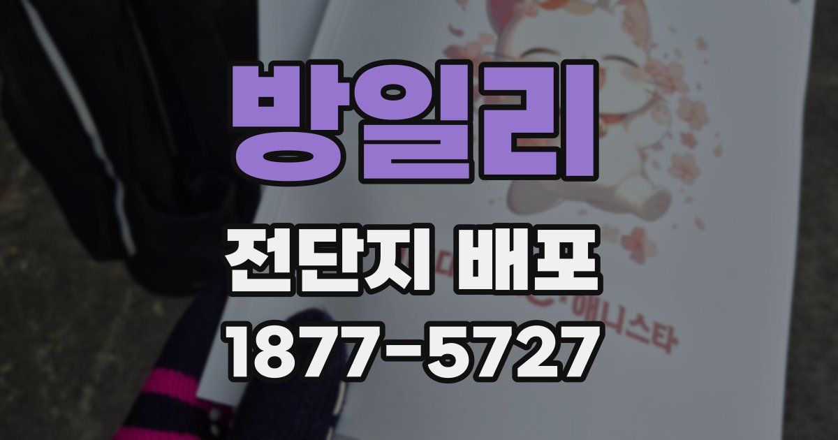 방일리 전단지 배포