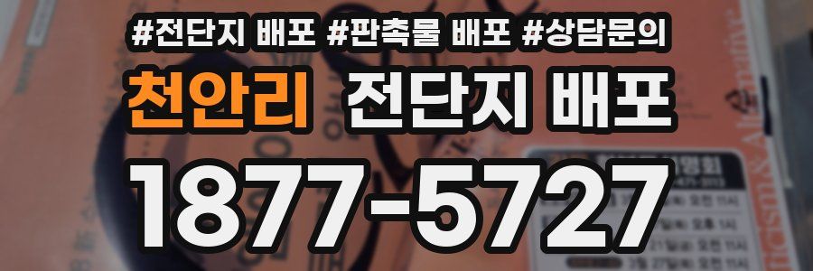 천안리 전단지 배포