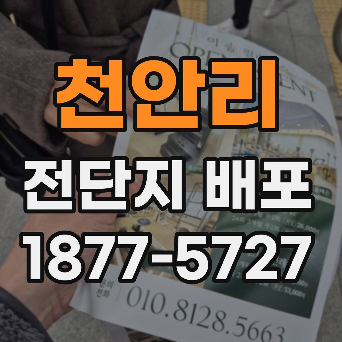 천안리 전단지 배포