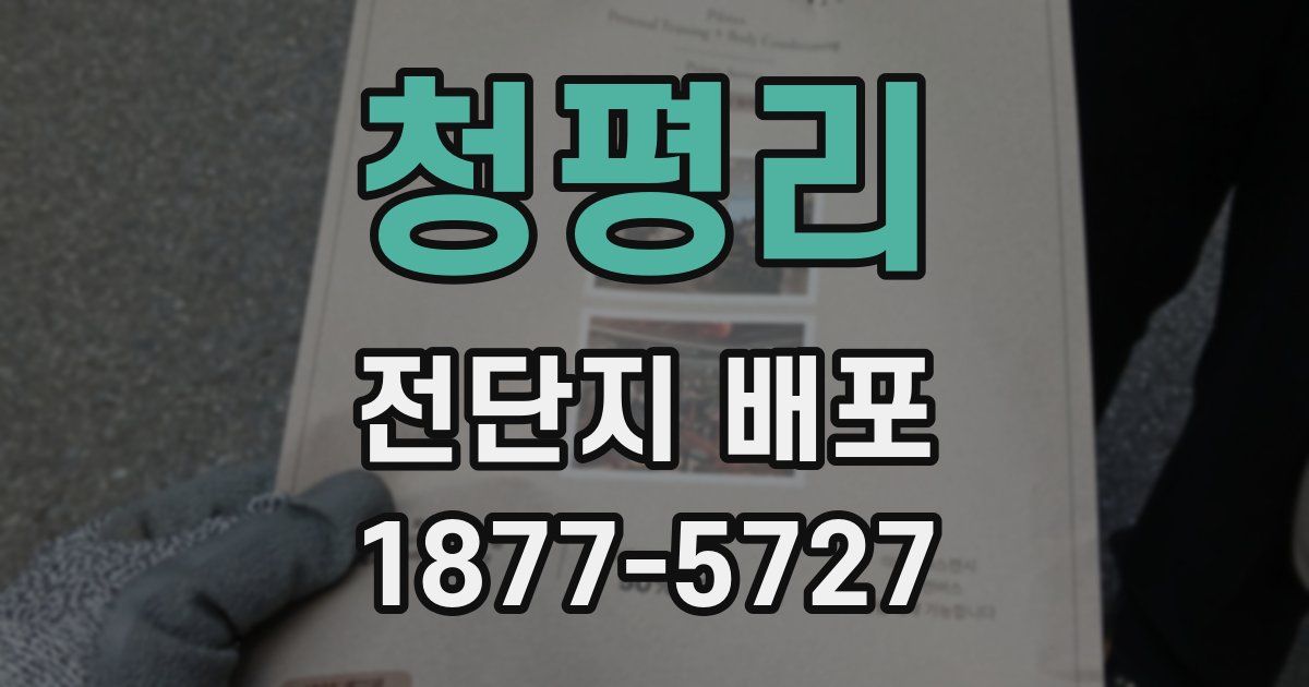 청평리 전단지 배포