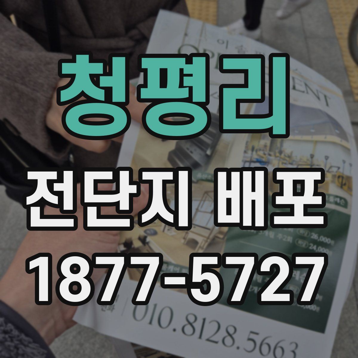 청평리 전단지 배포