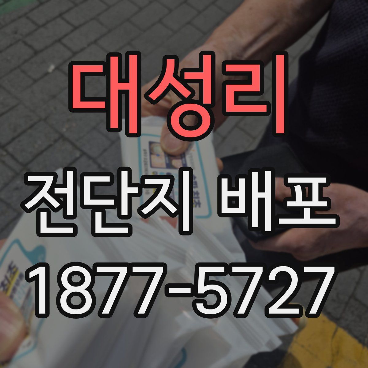 대성리 전단지 배포