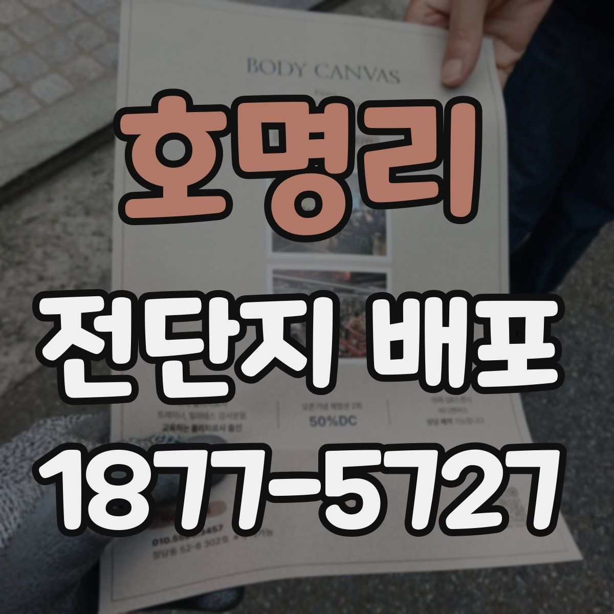 호명리 전단지 배포