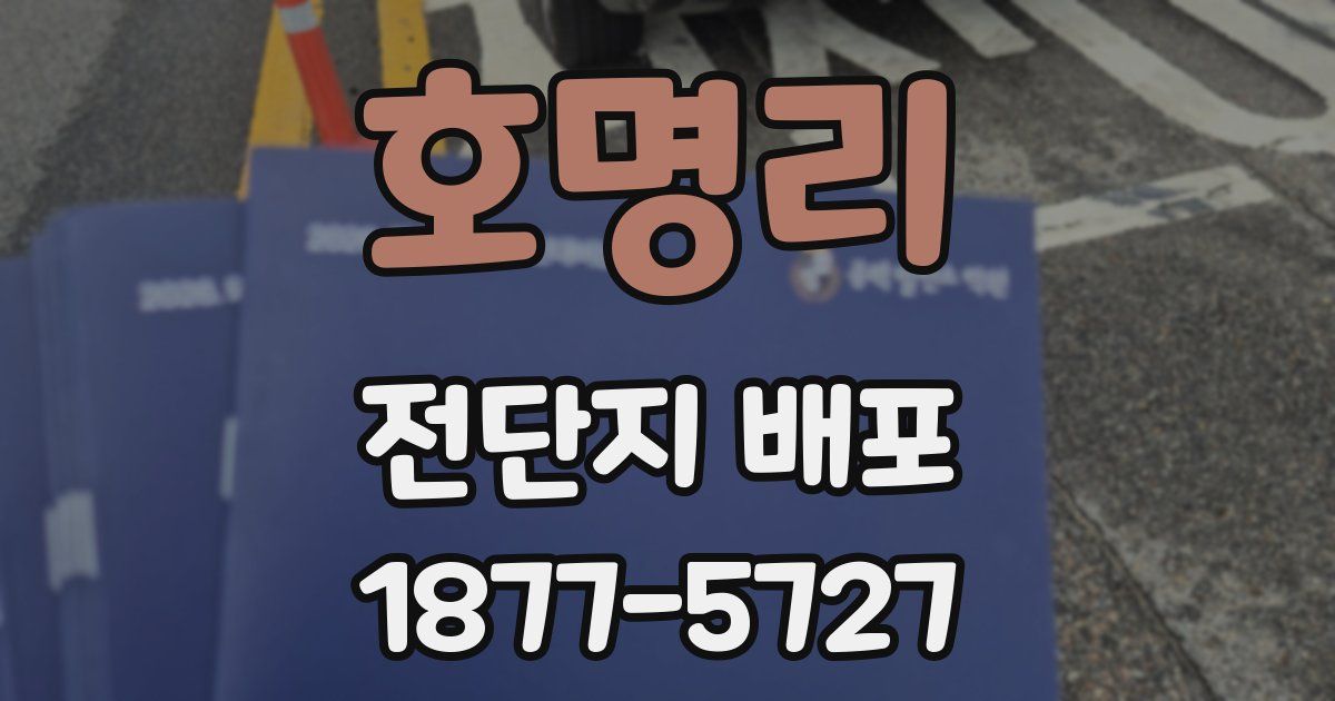 호명리 전단지 배포