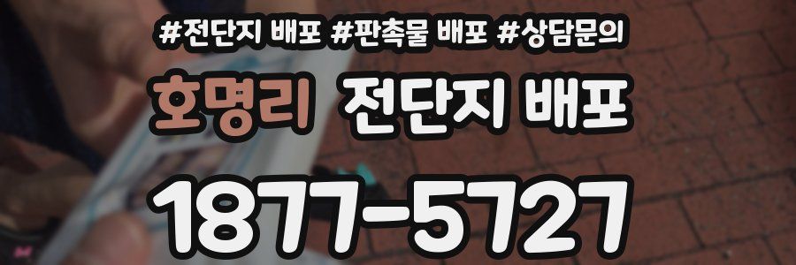 호명리 전단지 배포