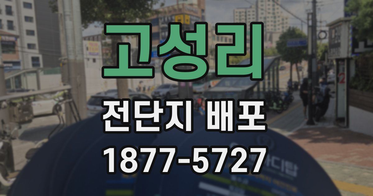 고성리 전단지 배포