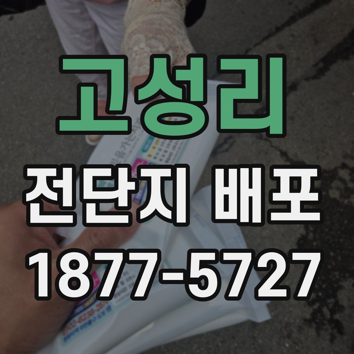 고성리 전단지 배포