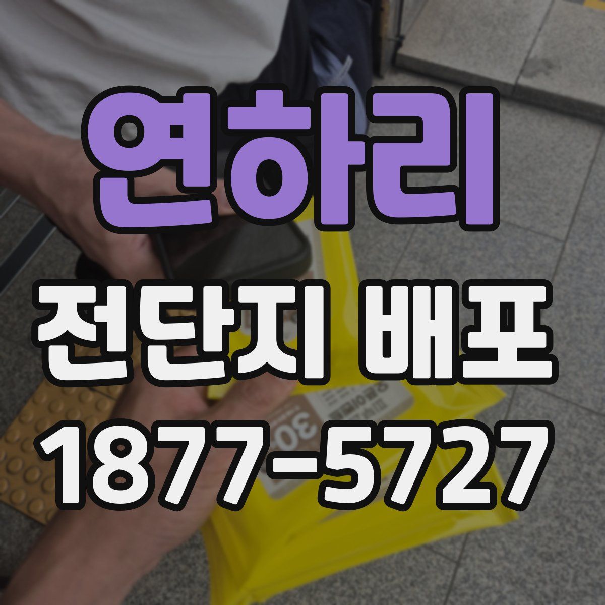 연하리 전단지 배포