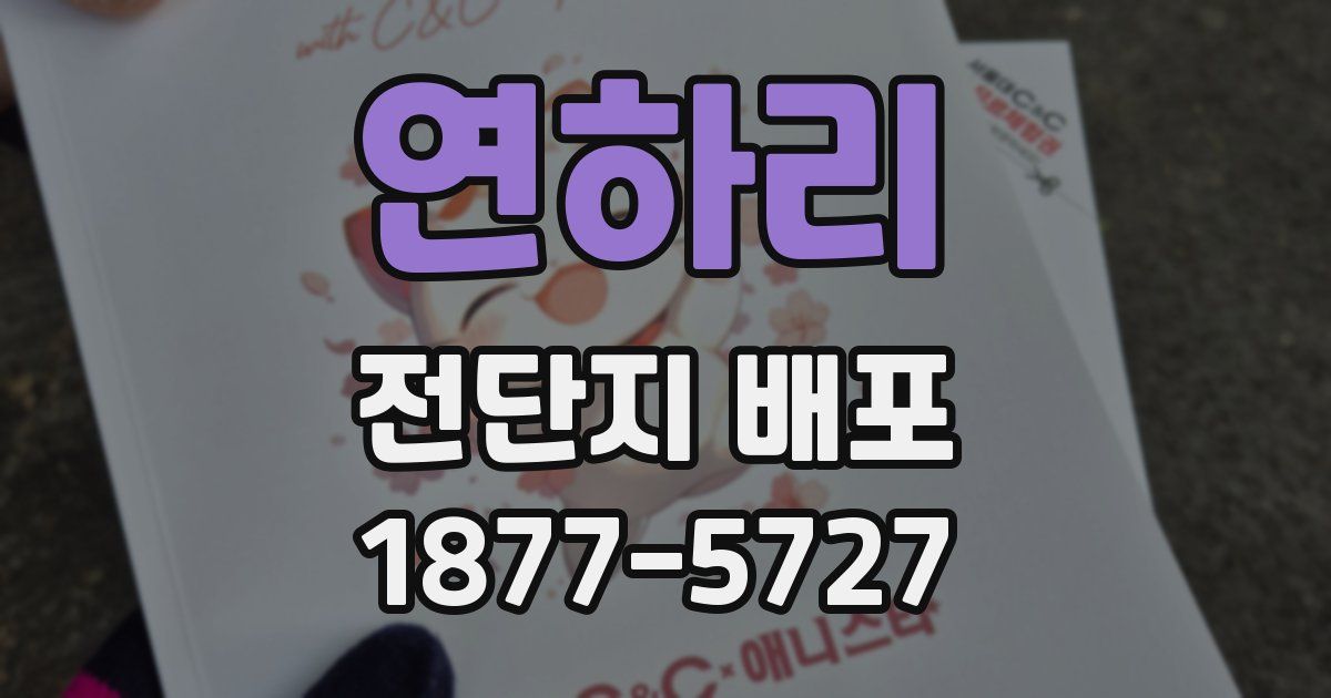 연하리 전단지 배포