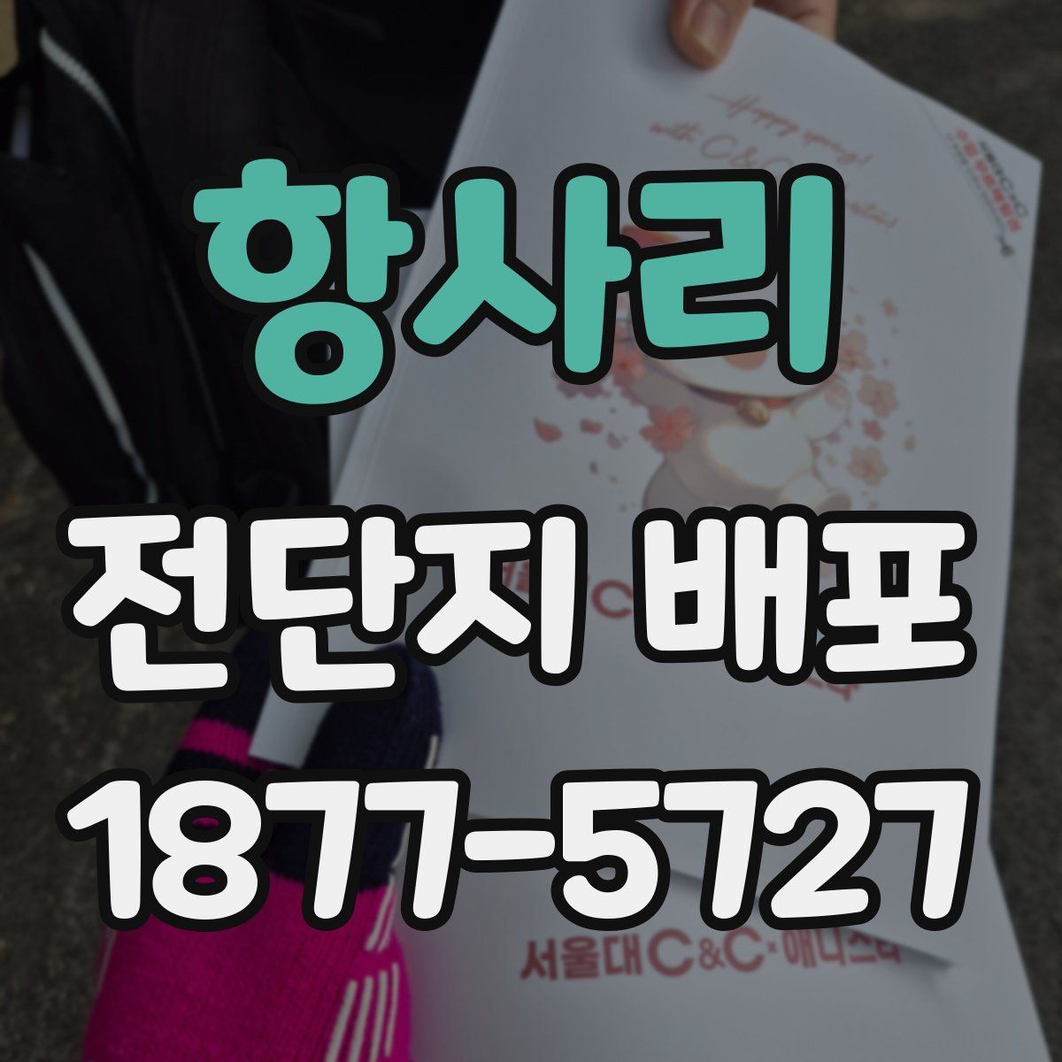 항사리 전단지 배포