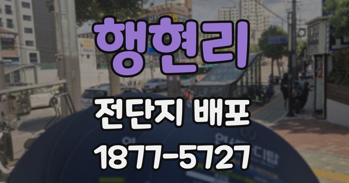 행현리 전단지 배포