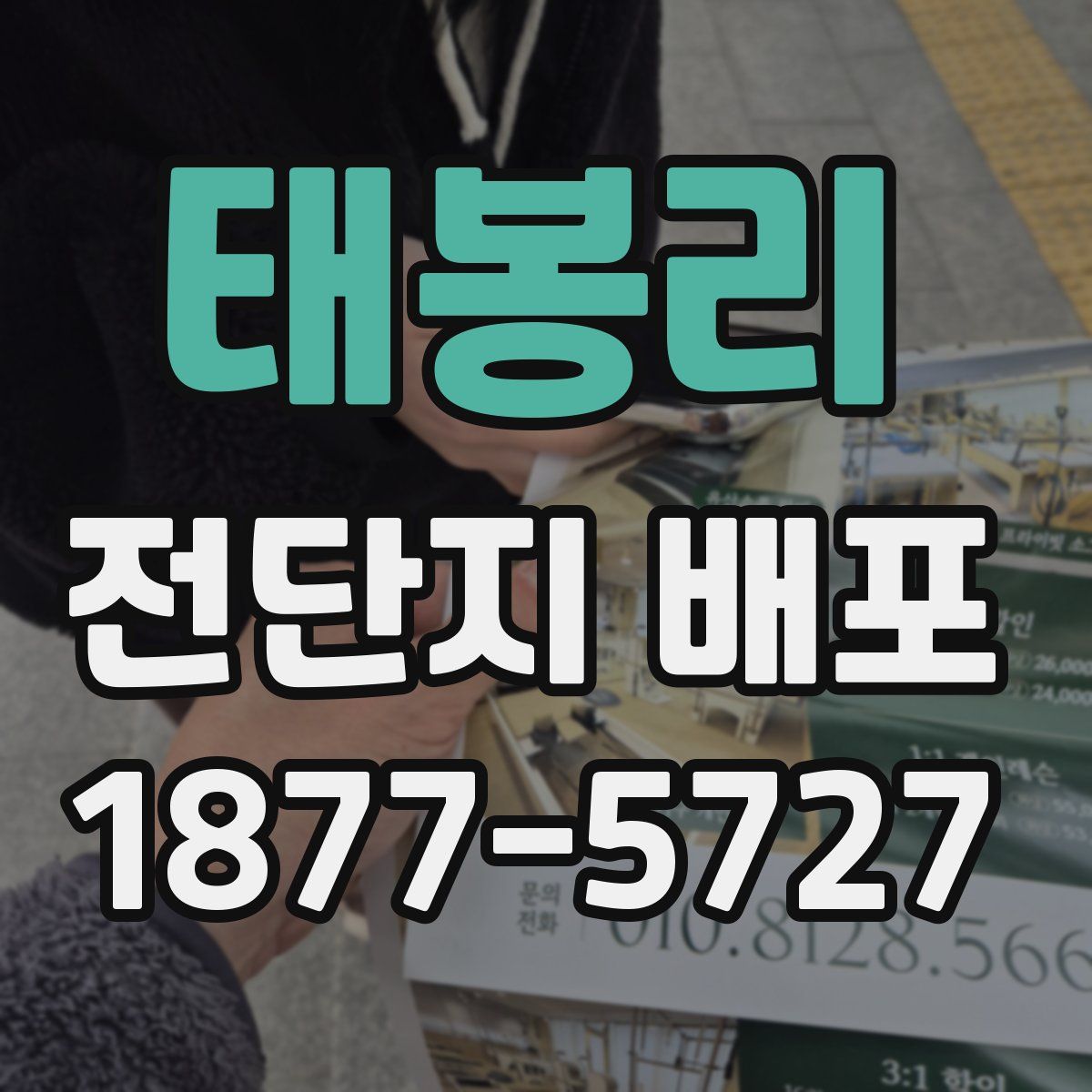태봉리 전단지 배포