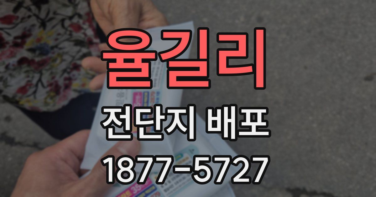 율길리 전단지 배포