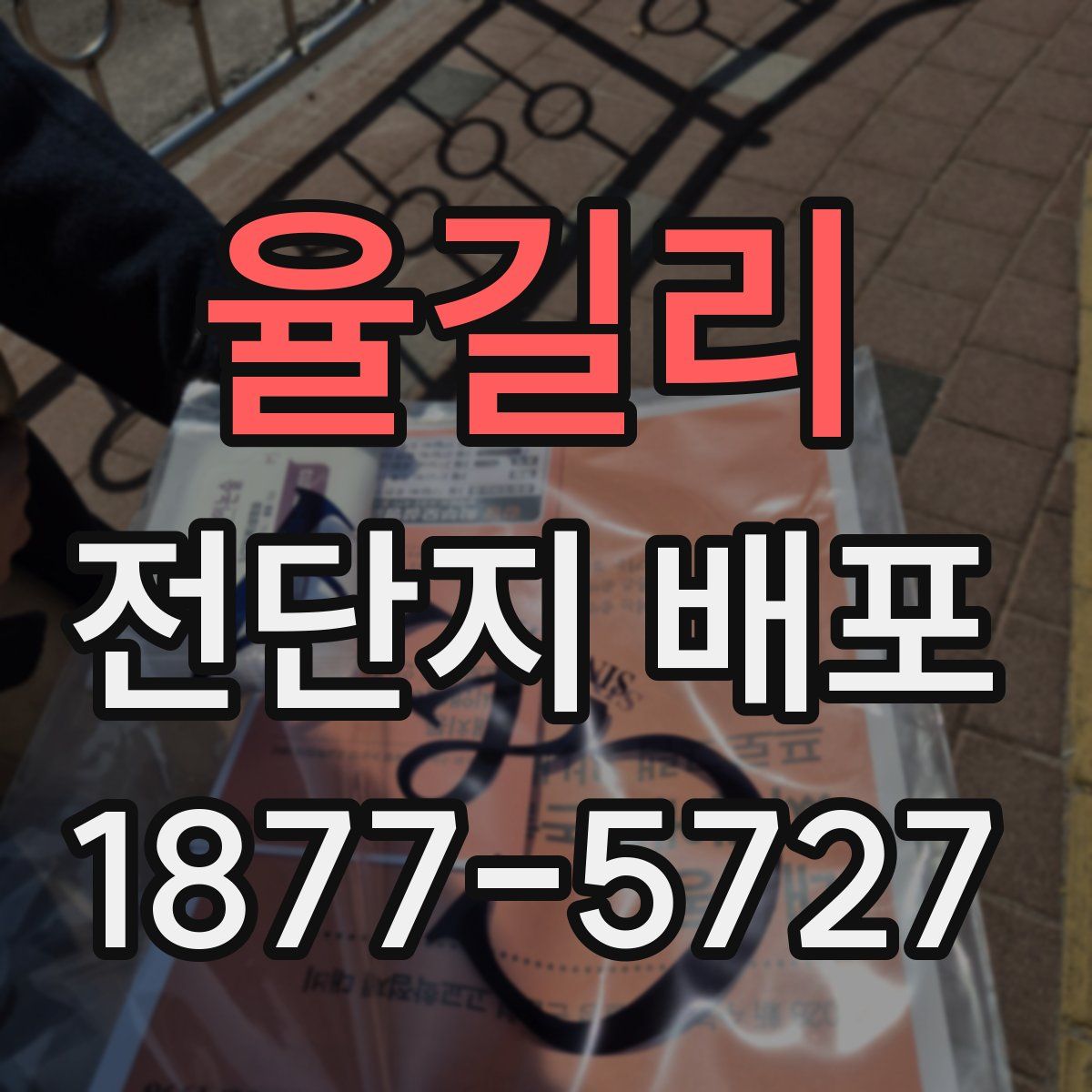 율길리 전단지 배포