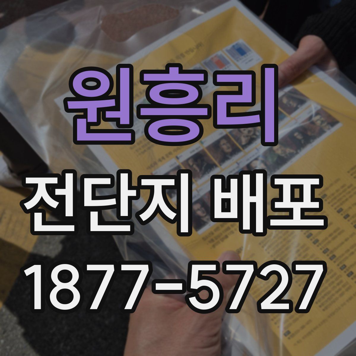 원흥리 전단지 배포