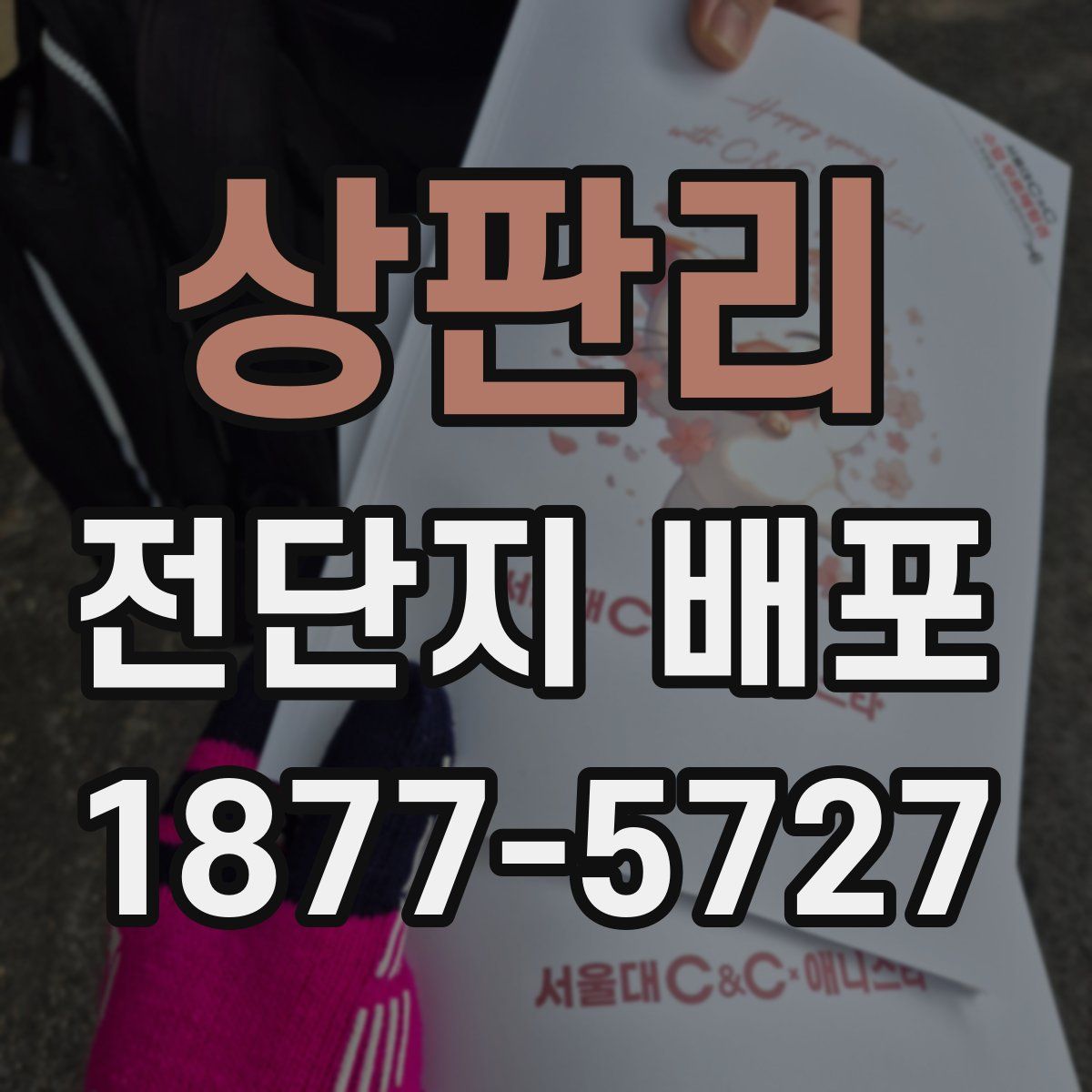 상판리 전단지 배포