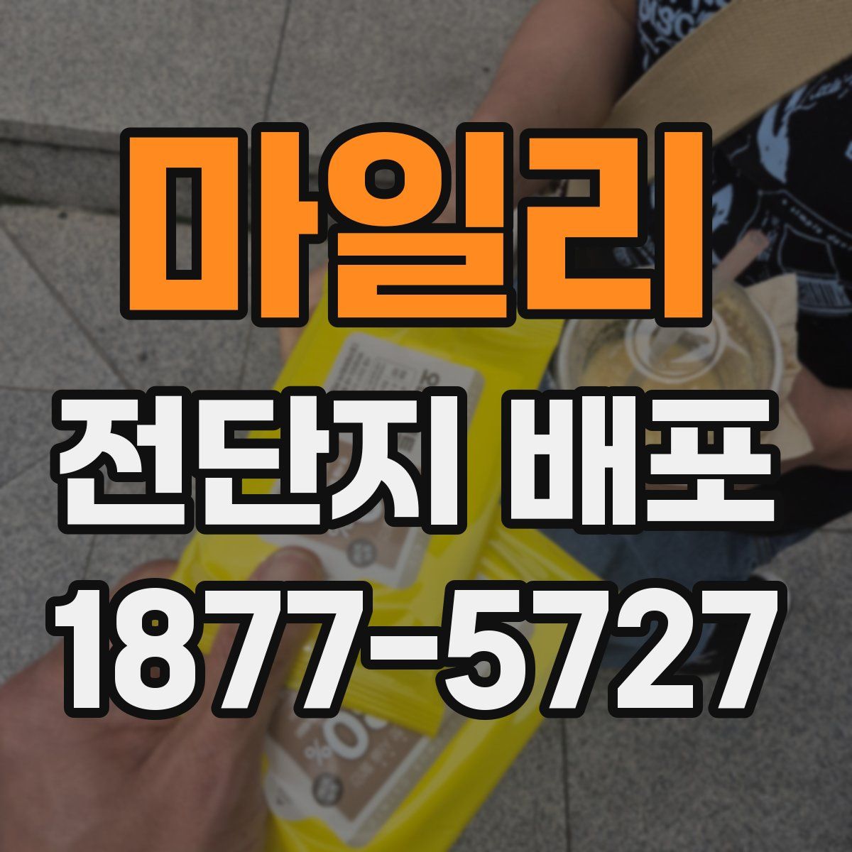 마일리 전단지 배포