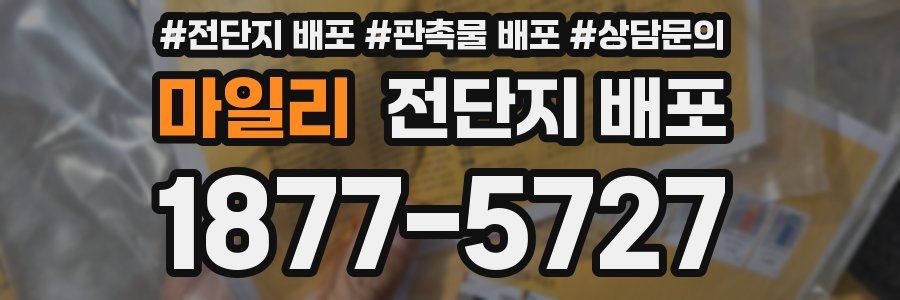마일리 전단지 배포