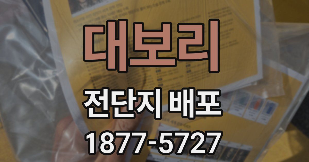 대보리 전단지 배포