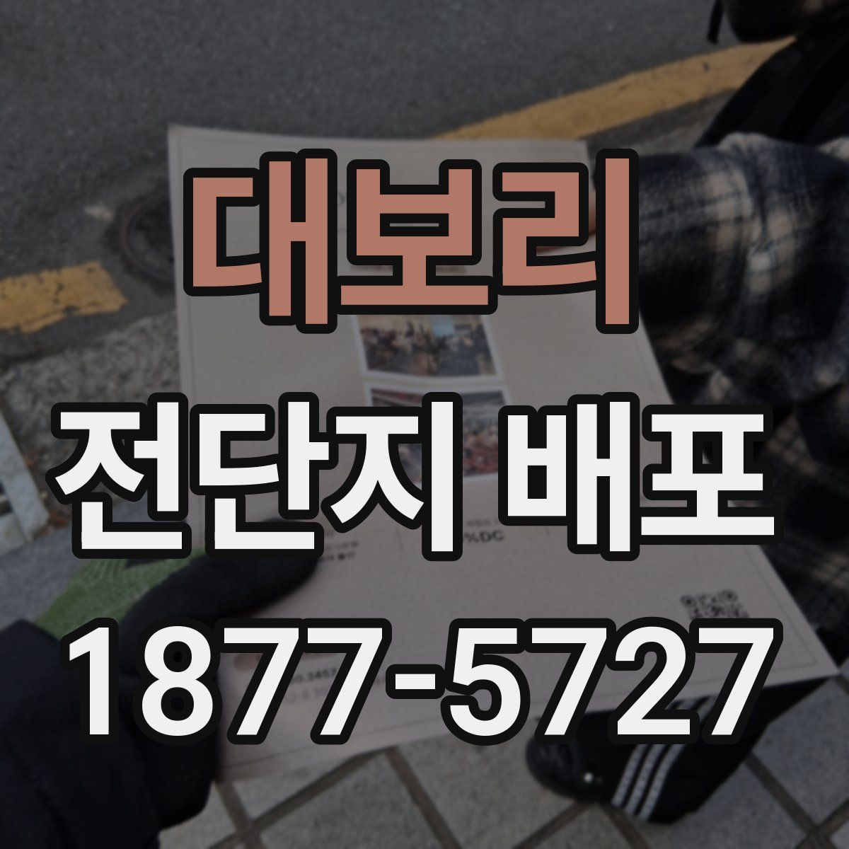 대보리 전단지 배포
