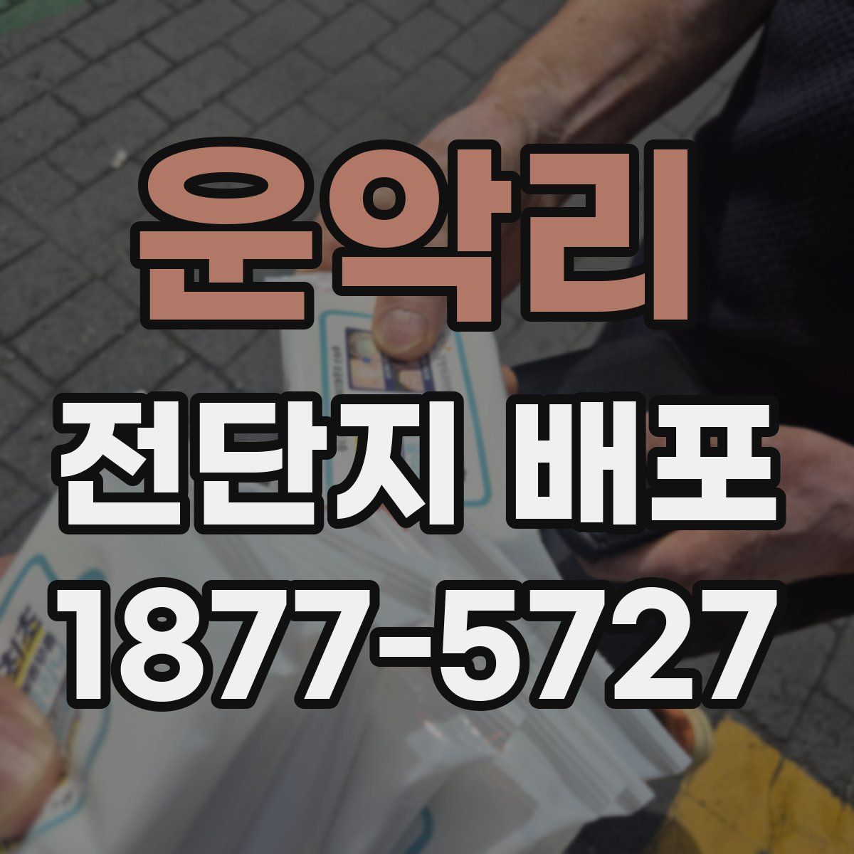 운악리 전단지 배포