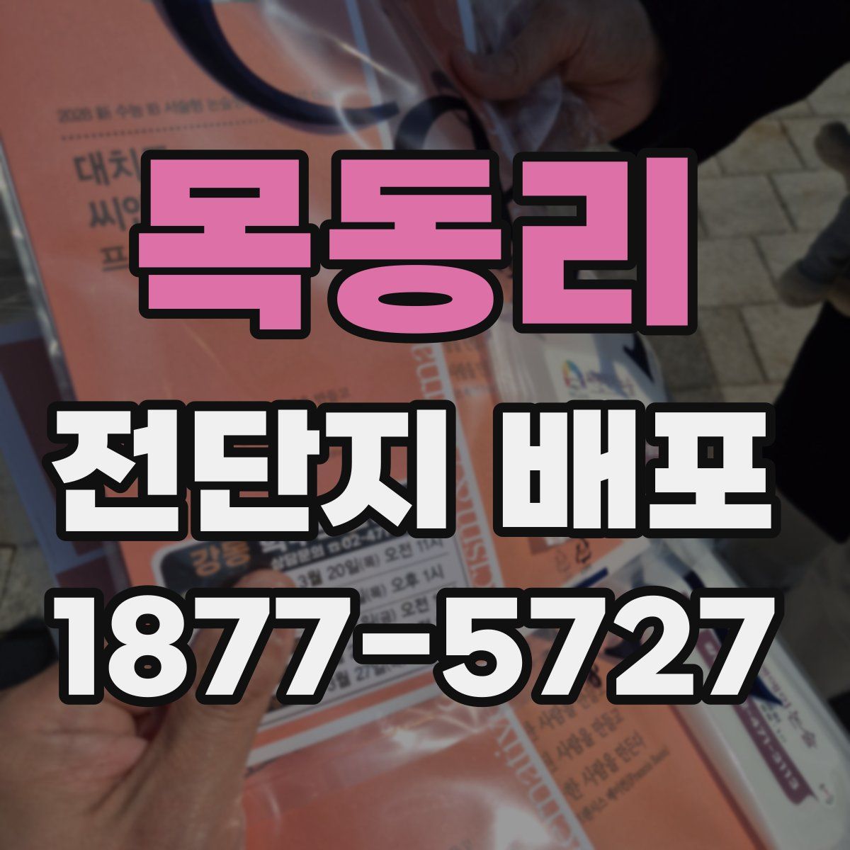목동리 전단지 배포