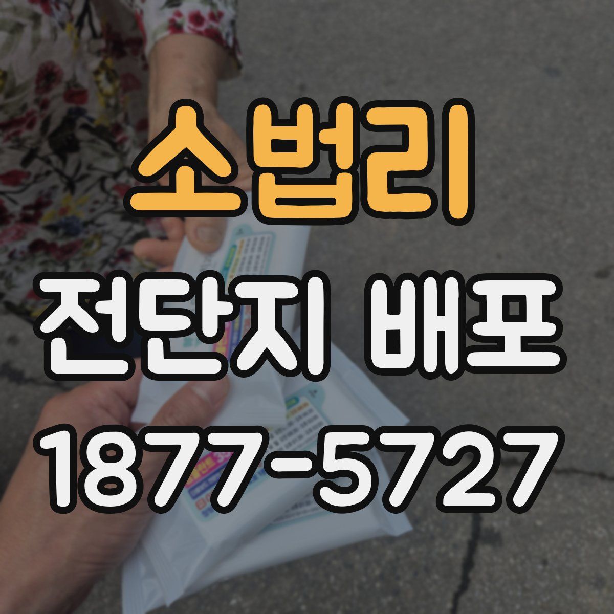 소법리 전단지 배포